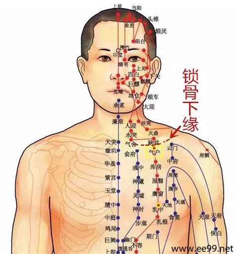 氣街 穴位